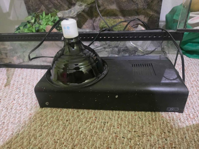 Exo Terra Terrarium - Large - photo 5