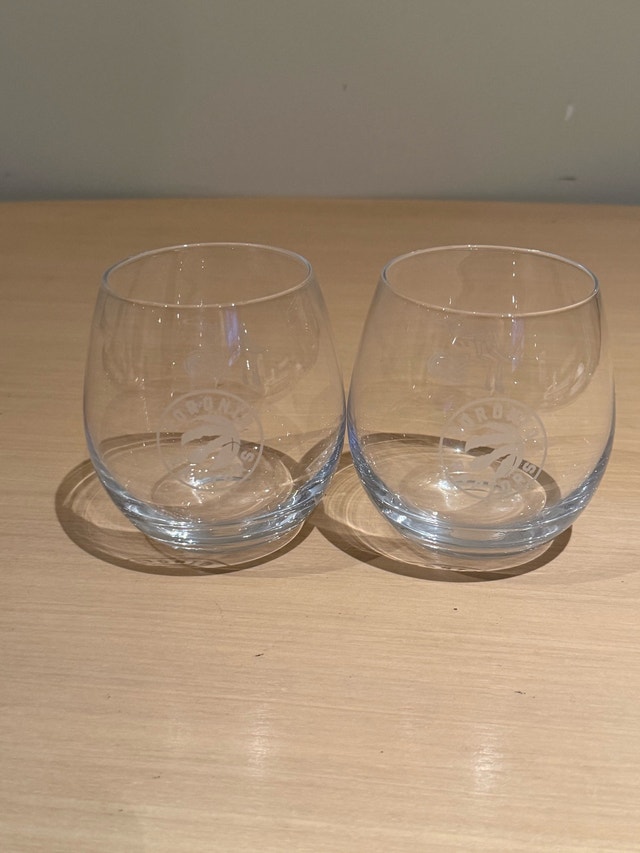 Toronto Raptors Stemless Glasses
