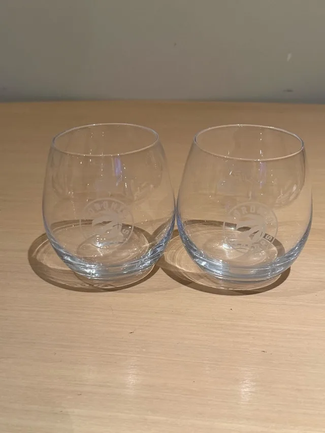 Toronto Raptors Stemless Glasses