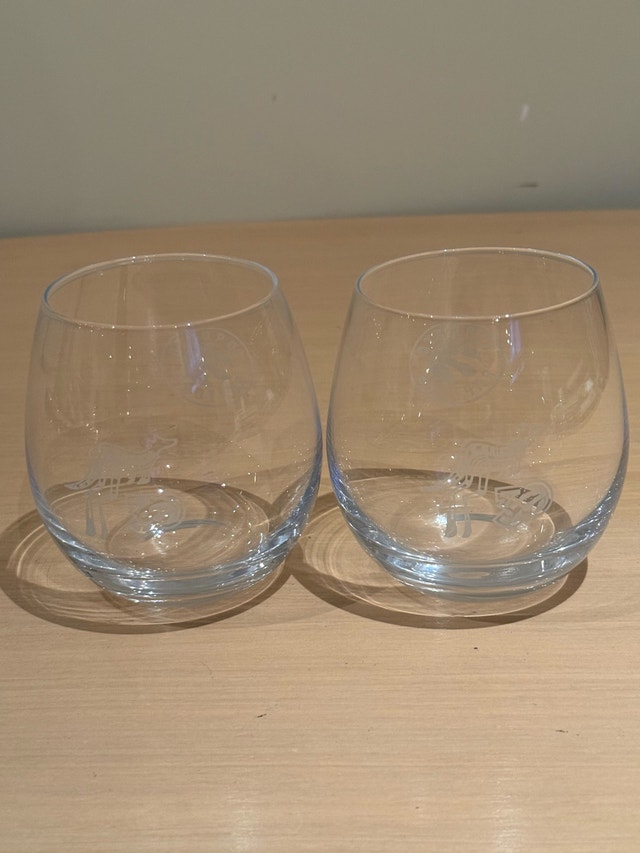 Toronto Raptors Stemless Glasses - photo 4