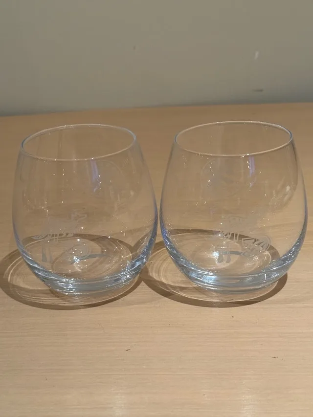 Toronto Raptors Stemless Glasses - photo 4