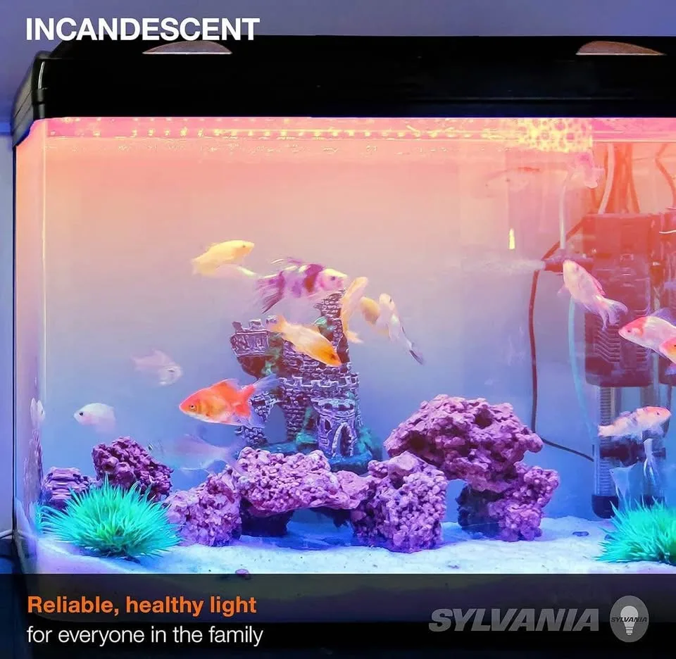 Sylvania 18491 25-Watt T10 Incandescent Bulb image indicator(3)