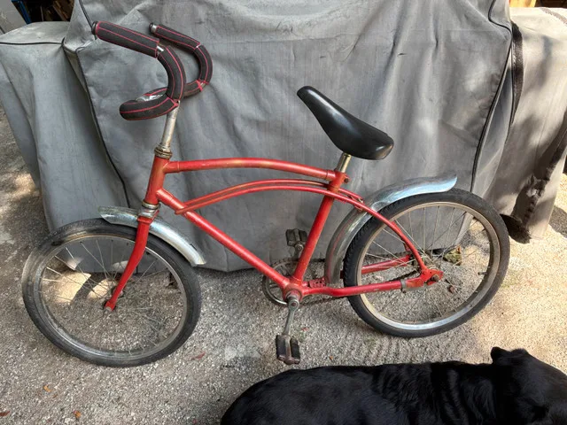 Schwinn Bicycle image indicator(2)