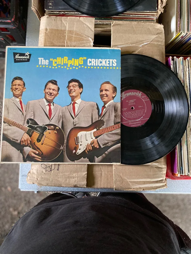 The chirping, crickets Brunswick records image indicator(3)