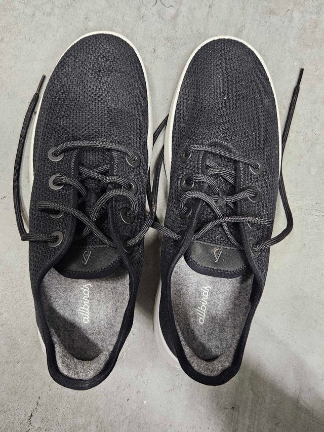 Men's Allbirds sneakers (size 12)