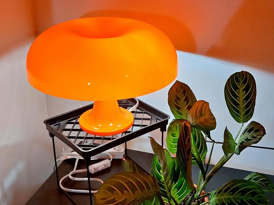 Orange Mushroom Lamp thumbnail