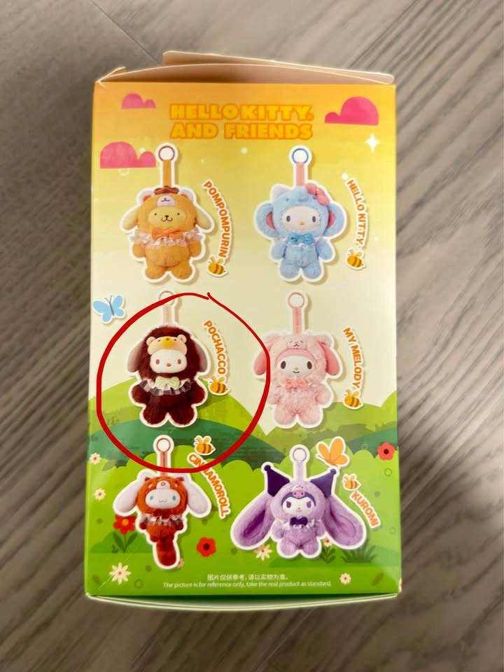 Sanrio Hello Kitty and Friends Blind Box - photo 2