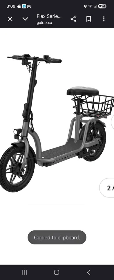Gotrax Flex Series Electric Scooter