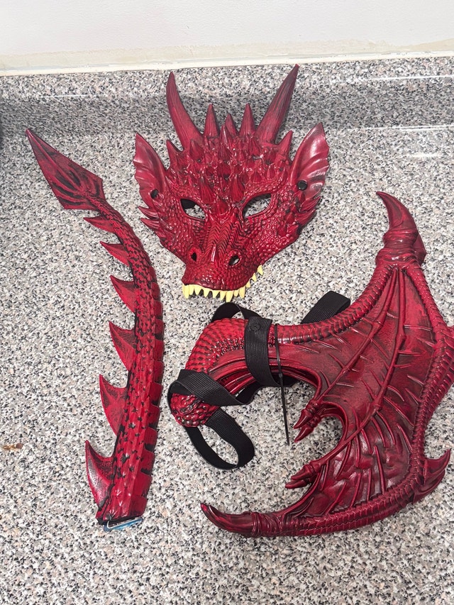 Dragon Costume Set - photo 3