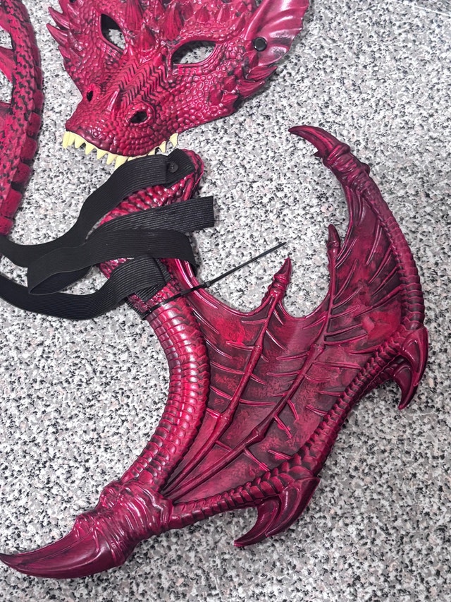 Dragon Costume Set - photo 4