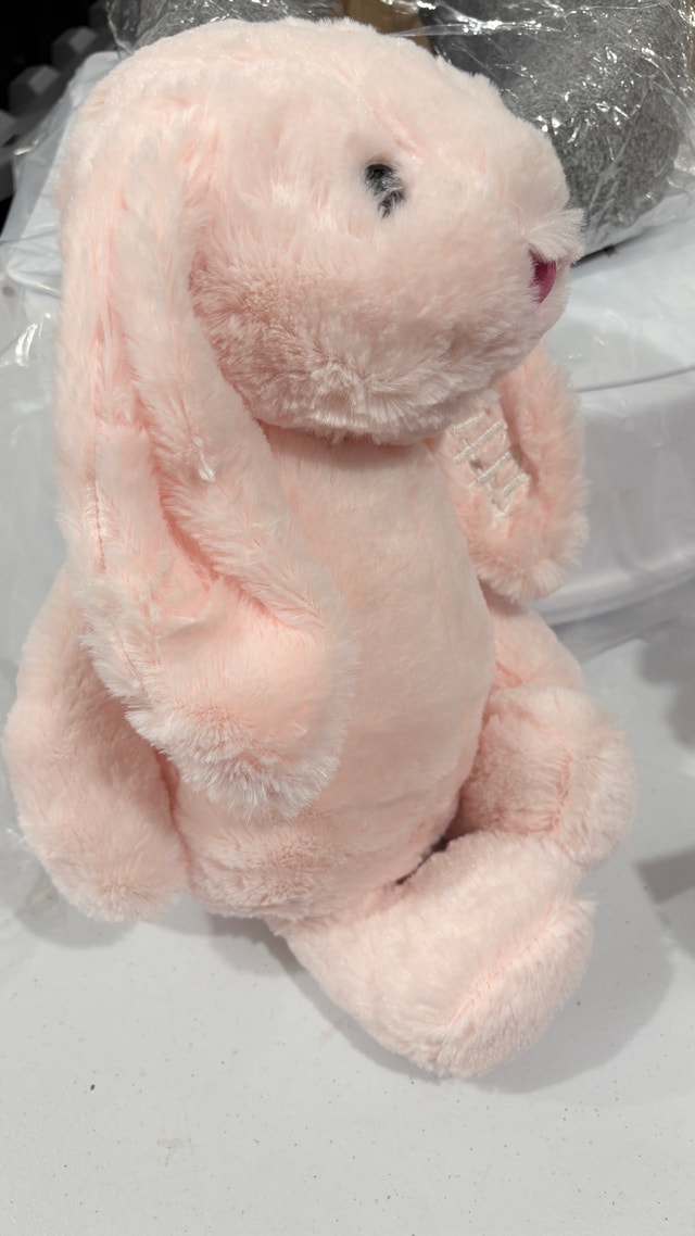 Plush Bunny-personalized with the name 'Charlotte’ - photo 4