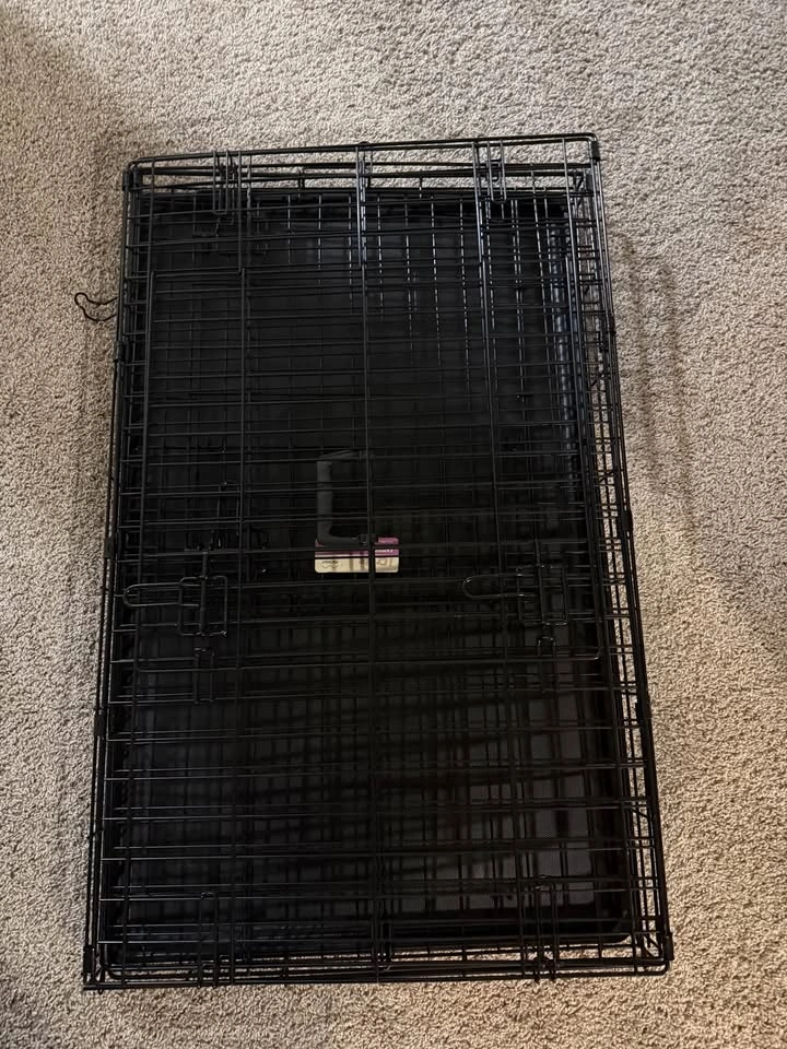 Dog Crate + XL Elevated Dog Bed – Excellent Condition - photo 2
