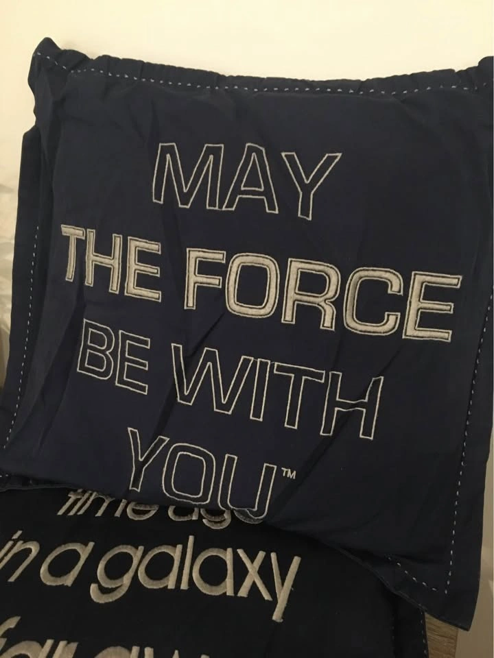 Set of 2 Pottery Barn Star Wars pillows - photo 4
