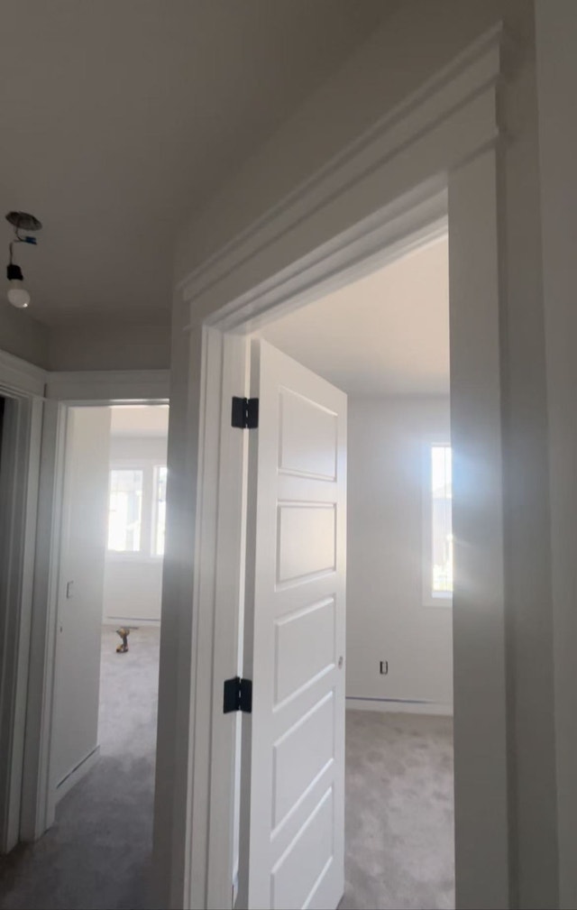 Interior Doors Installer - photo 2