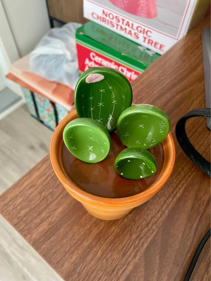 Ceramic Cactus Measuring Cup and Spoon Set - photo 2