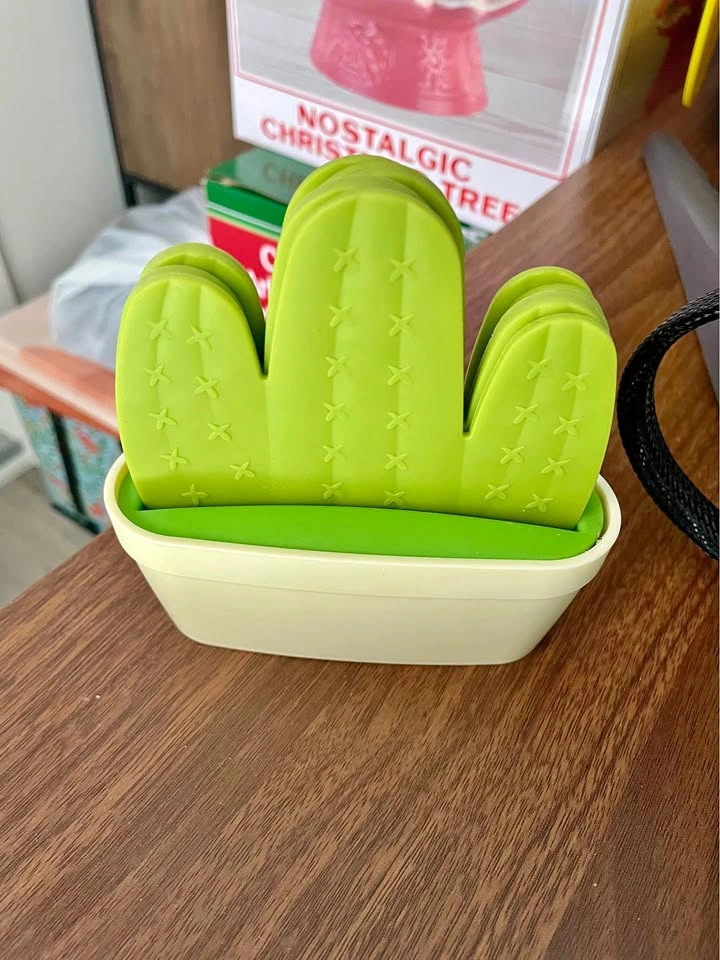Green Cactus Coaster Set with Holder