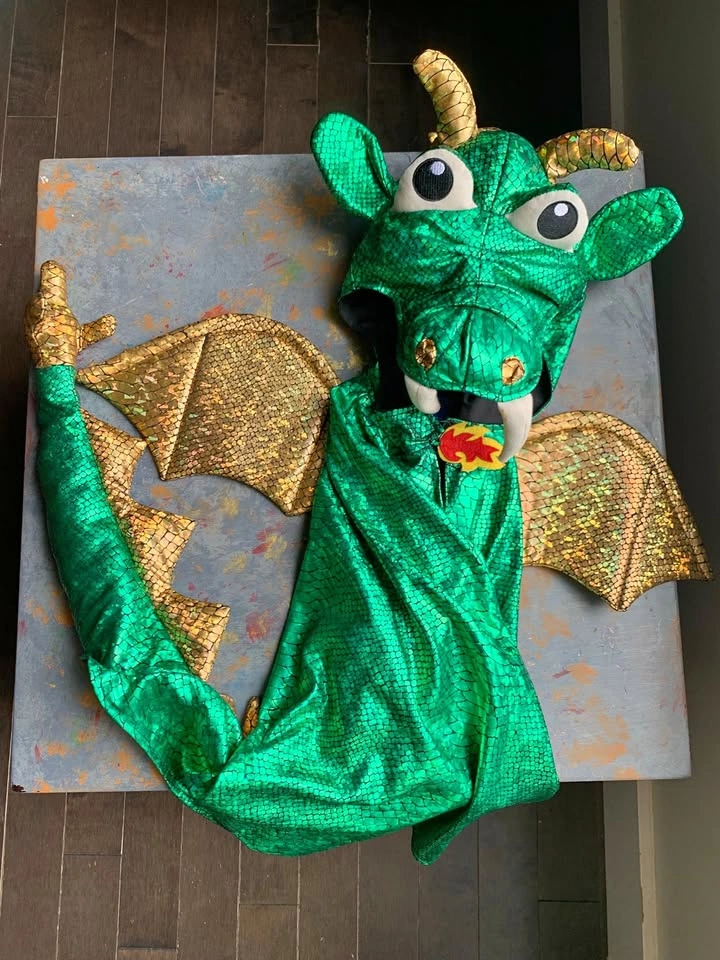 Halloween Dragon Costume