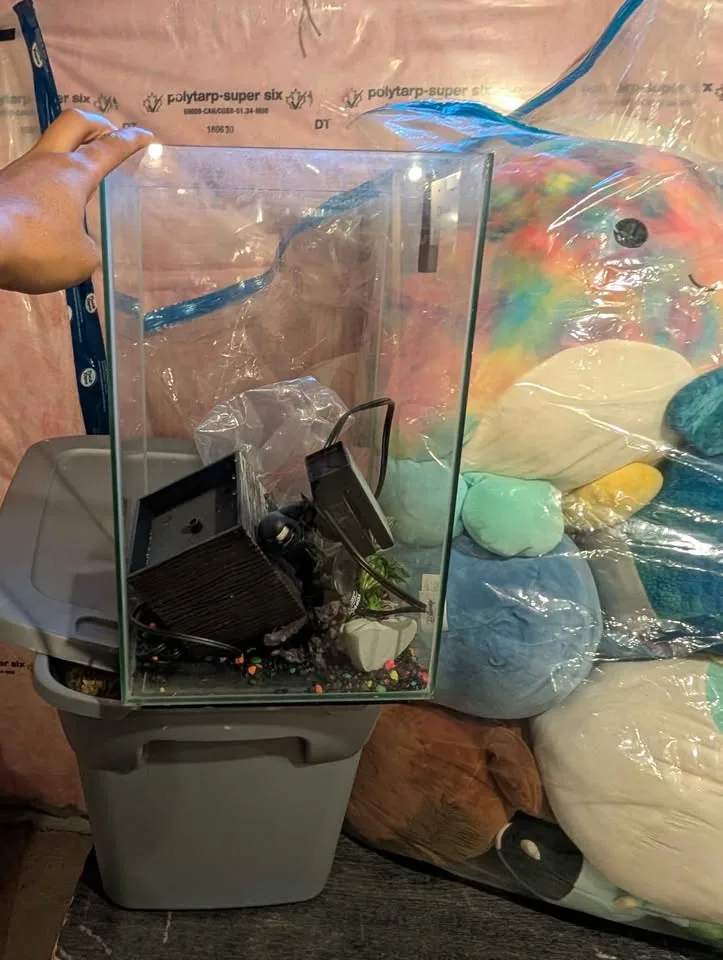 FLUVAL CHI FISH TANK image indicator(2)