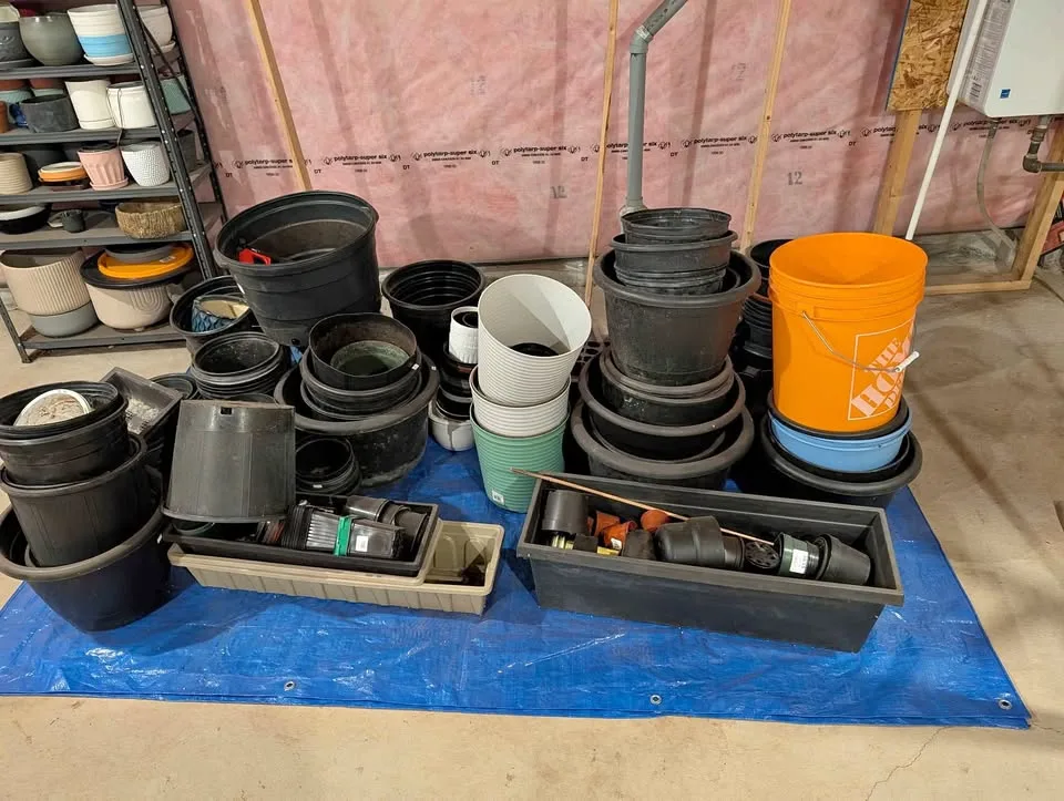 BULK PLASTIC GROW POTS FOR SALE (PLS READ DESCRIPTION) thumbnail