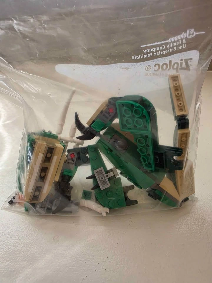 LEGO Creator 3-in-1 Mighty Dinosaurs 31058 - photo 2