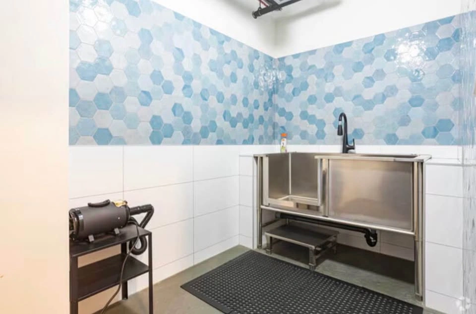 1 Bed 1 Bath - Apartment - photo 4