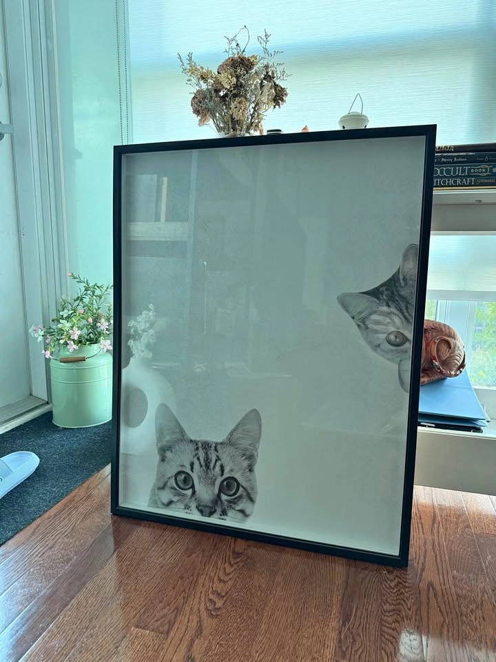 Black IKEA Picture Frame - 17x21 inches