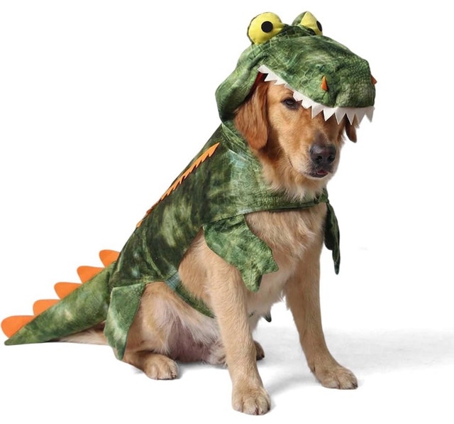 Brand New OnePaw Halloween Dinosaur Pet Dog Cat Costume