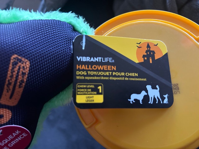 New Vibrant Life Halloween Spooky Bone Squeaky Plush Dog Toy - photo 4