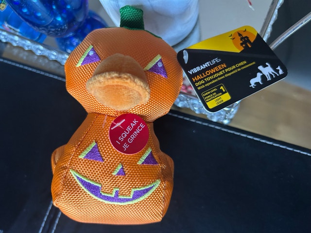 New Vibrant Life Halloween Squeaky Pumpkin Duck Pet Dog Toy - photo 4