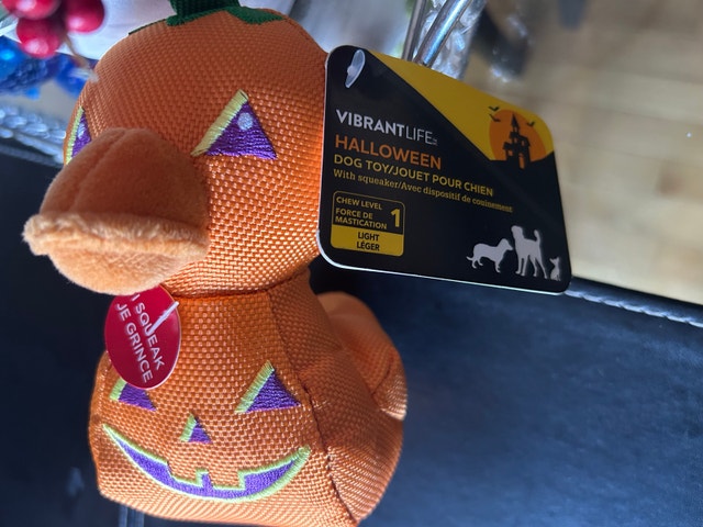New Vibrant Life Halloween Squeaky Pumpkin Duck Pet Dog Toy - photo 5