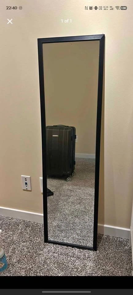 President's Choice Rice Cooker and Black Full Length Mirror - photo 2