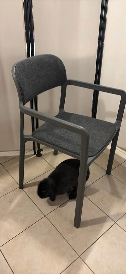IKEA YPPERLIG Armchair - photo 3
