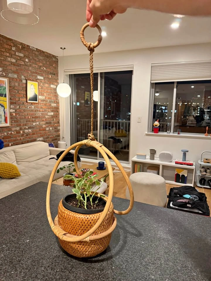 Handwoven Rattan Hanging Planter | Boho Minimalist Home Decor
