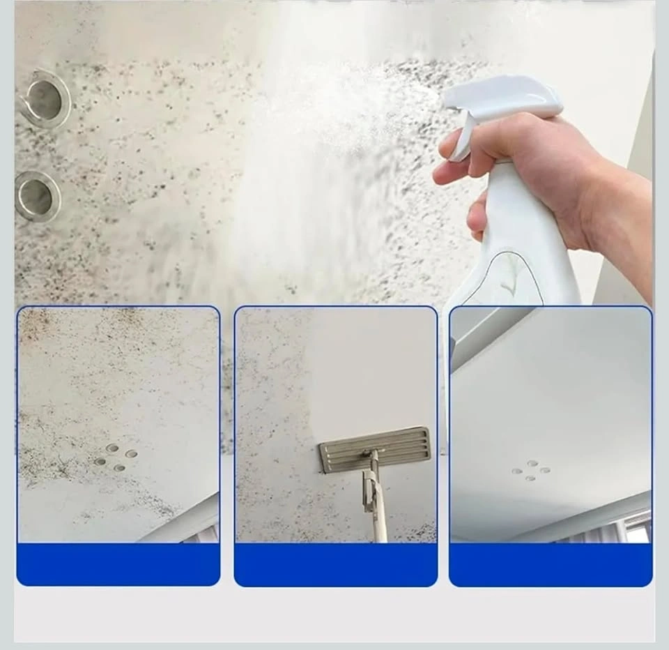 Wall mold remover spray bottle with box - photo 2