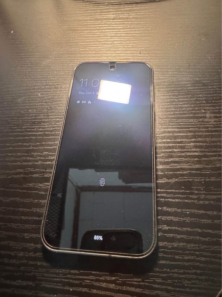 Pixel 9 - photo 4