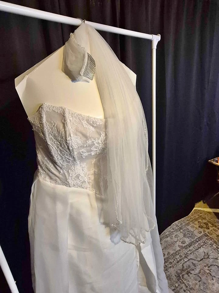White Veil (Hip length)