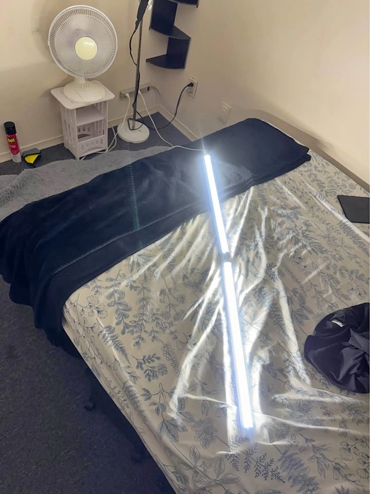 Light