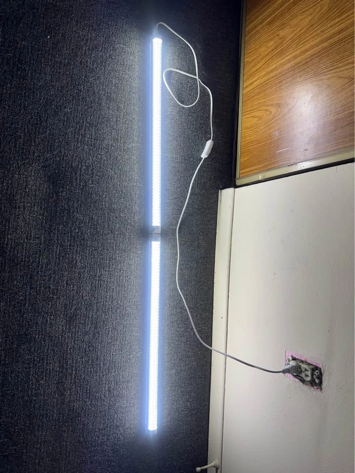 Light - photo 2