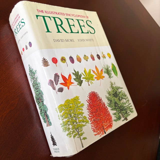 The Illustrated Encyclopedia of Trees • Hardcover Book
