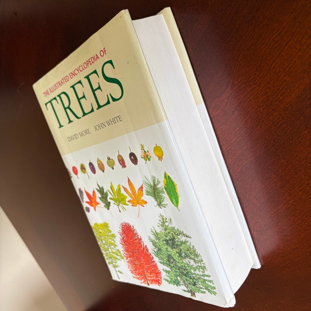 The Illustrated Encyclopedia of Trees • Hardcover Book - photo 4
