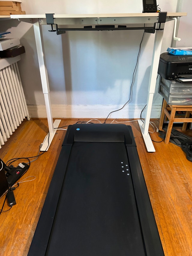 Complete Walking Workstation — LifeSpan treadmill + IKEA TROTTEN