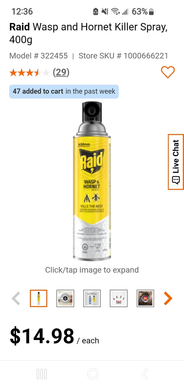 Wasp and Hornet spray