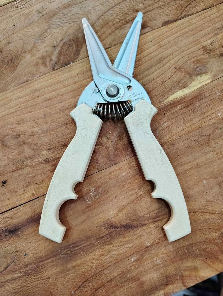 Famous TULLEN New Zealand Eversharp Shears