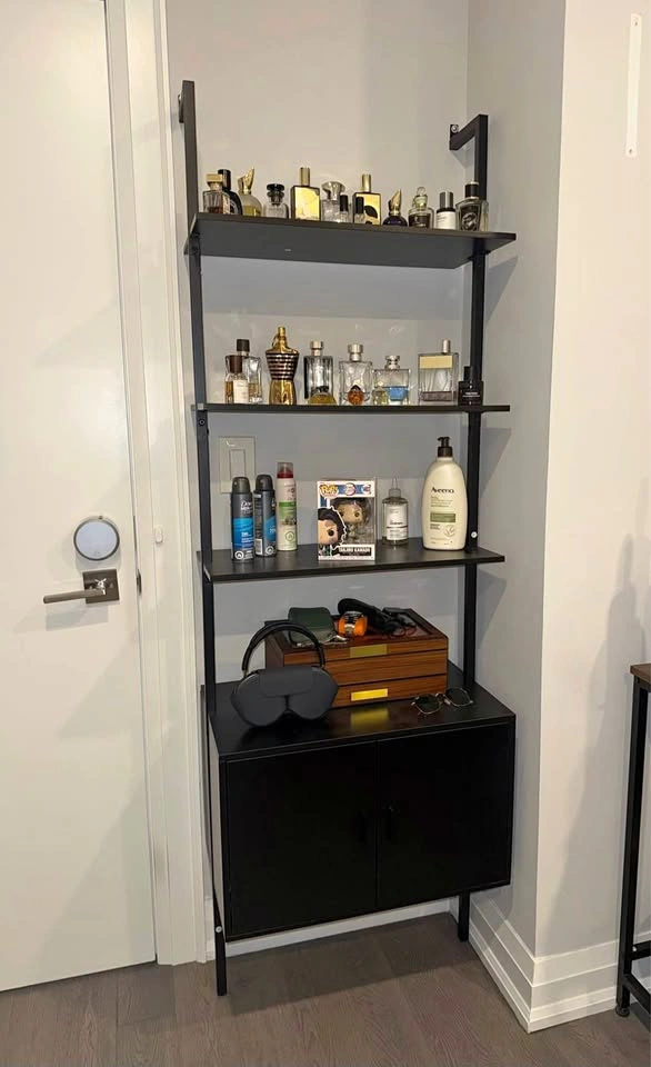 Ladder Bookshelf with Cabinet