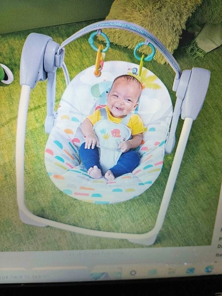 Baby swing