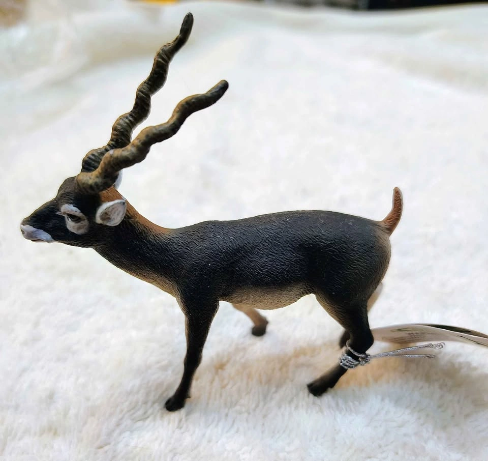SET OF 5 COLLECTA ANIMAL FIGURINES - photo 3