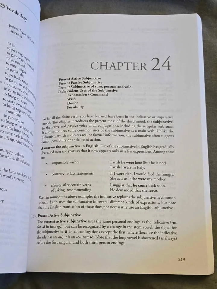 Introduction to Latin - Susan C. Shelmerdine image indicator(2)