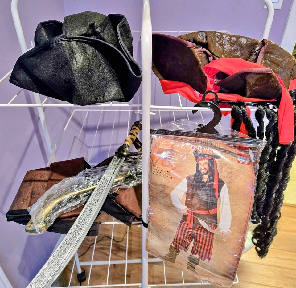 Pirate Halloween costume