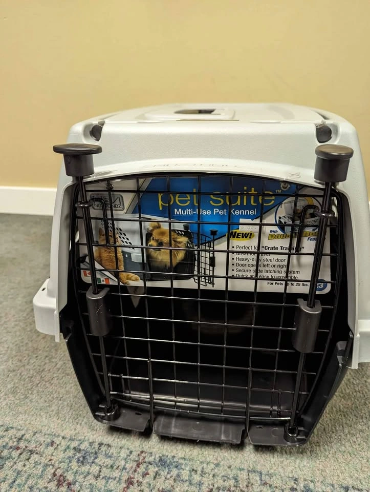 Plastic pet carrier 2 entry - photo 2