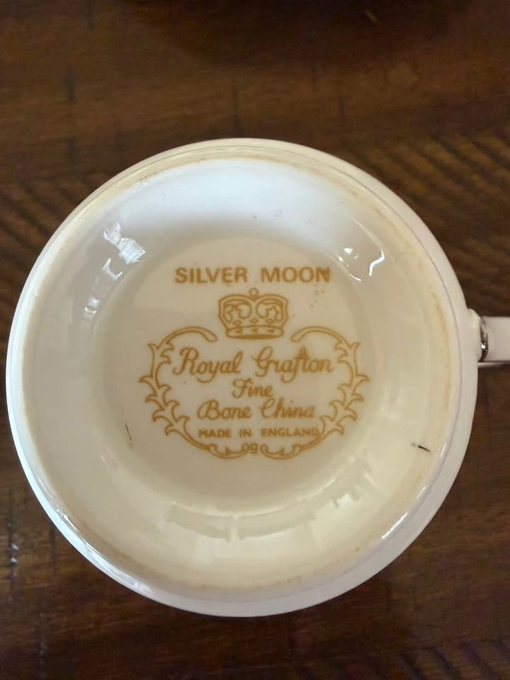 Royal Grafton Silver Moon Fine Bone China Cup & Saucer Set - photo 3